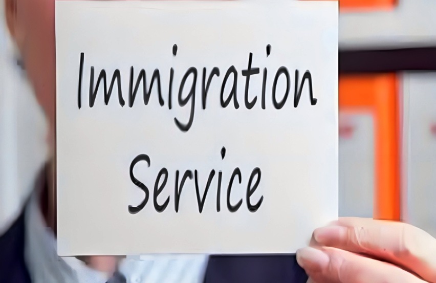 Introducing “Cartesabz” Immigration Website Services