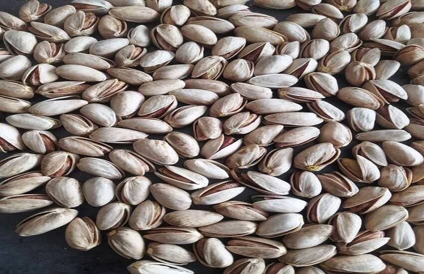 Open-shell Iranian pistachios with bright white shells